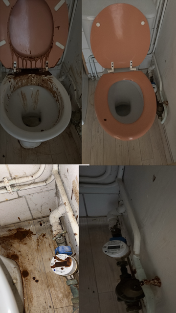 Remise en état après expulsion aux alentours de Toulouse : Surménage Services à votre secours !