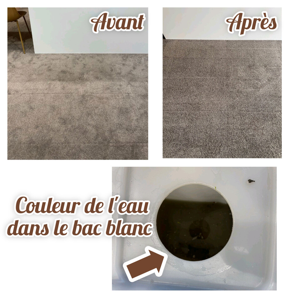 Nettoyage d'une moquetter avant - après